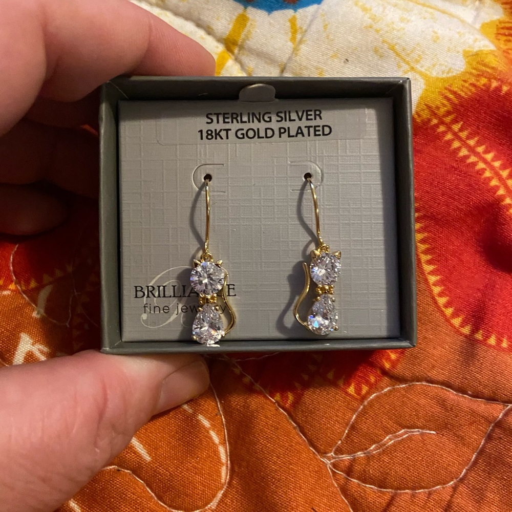 Earrings (cats)
